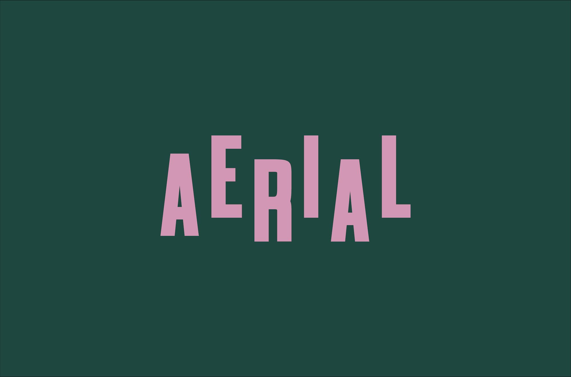 Launch of a new arts festival brand Aerial